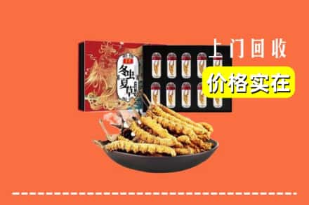 太仓市回收冬虫夏草